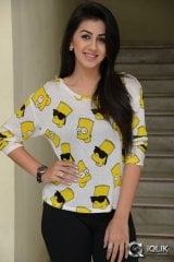 Nikki Galrani at Krishnashtami Movie Promotions